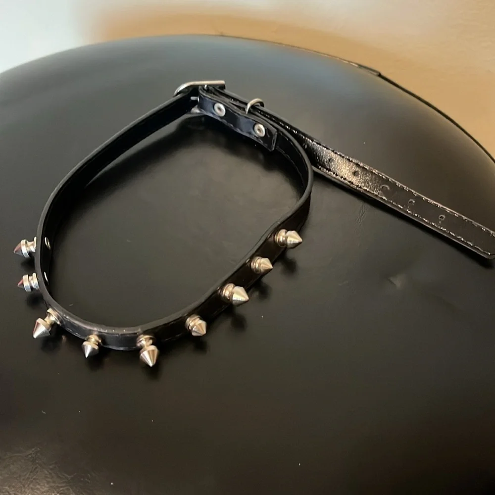 Spike Dog Collar, Black/Silver